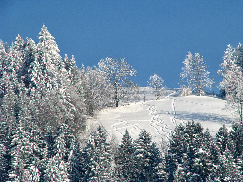 Spuren im Schnee