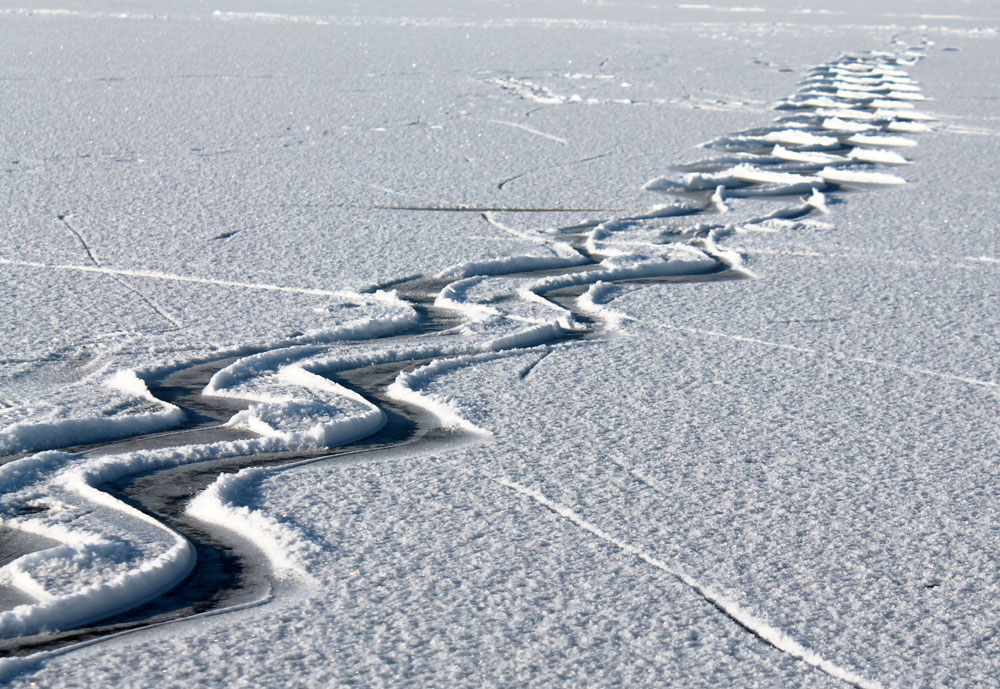 spuren im schnee