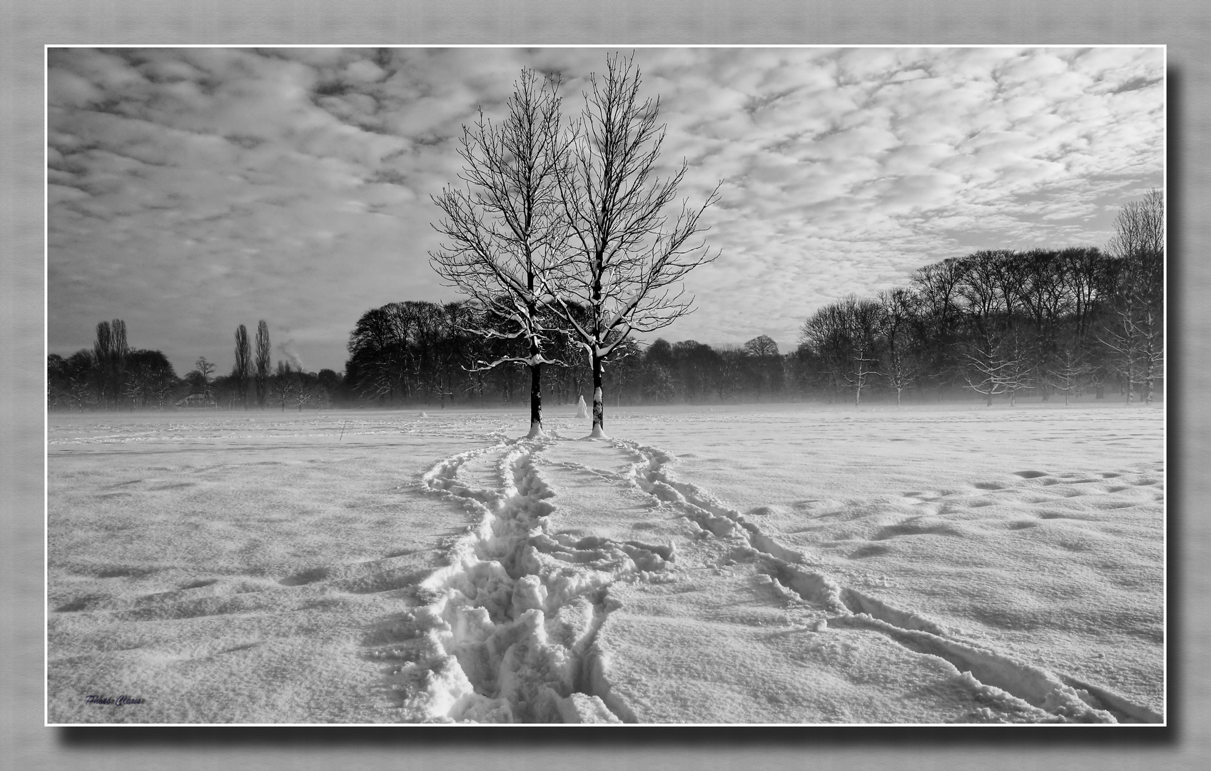 Spuren im Schnee