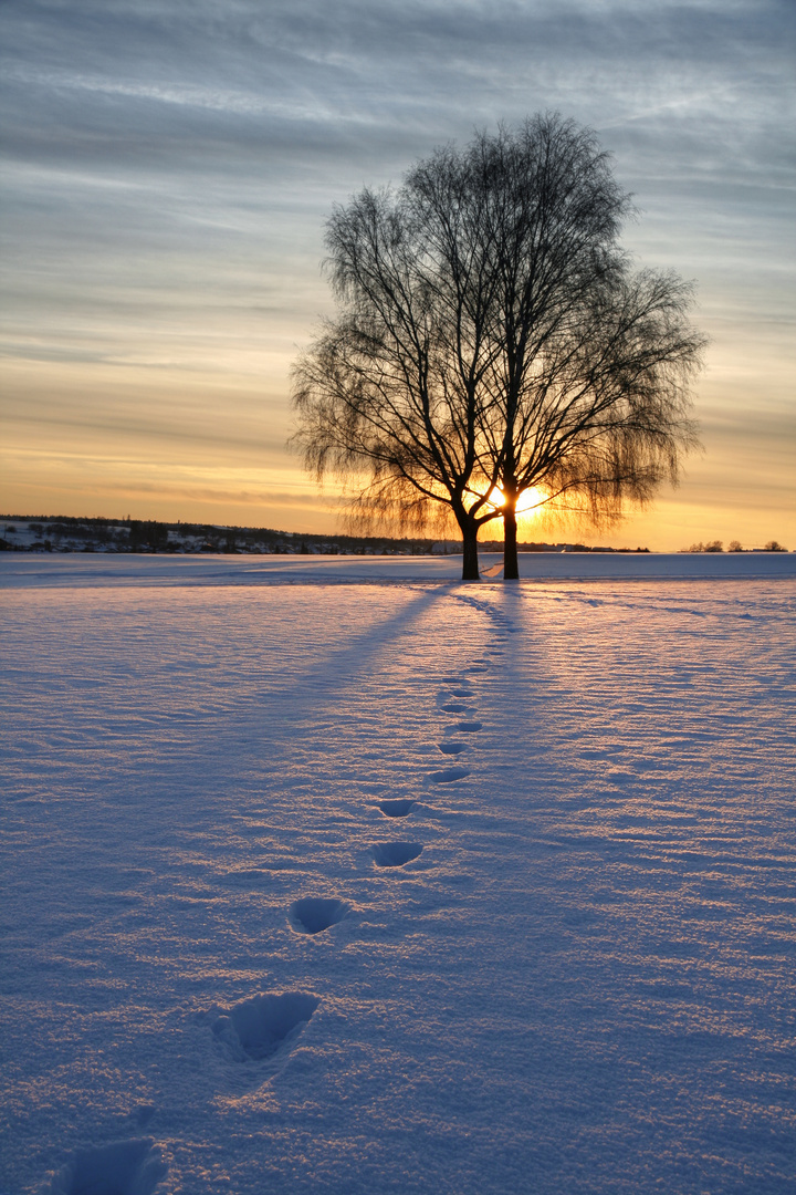 Spuren im Schnee