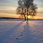 Spuren im Schnee