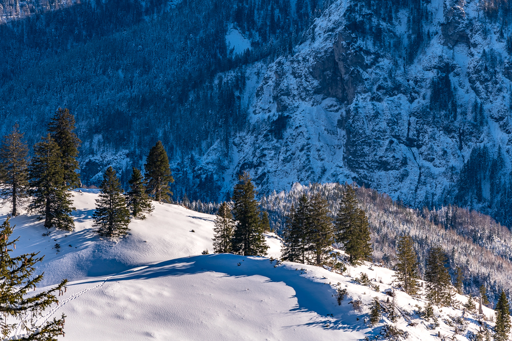 Spuren im Schnee