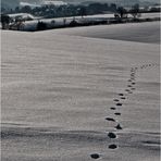 Spuren im Schnee