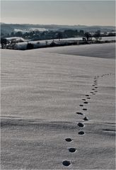 Spuren im Schnee