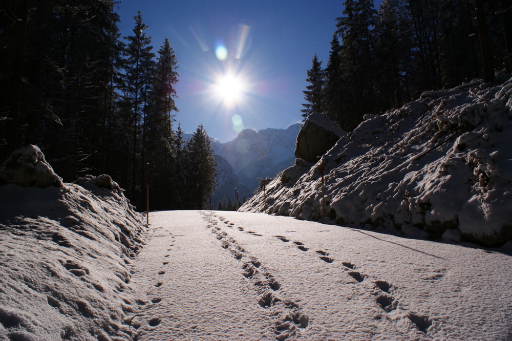 Spuren im Schnee