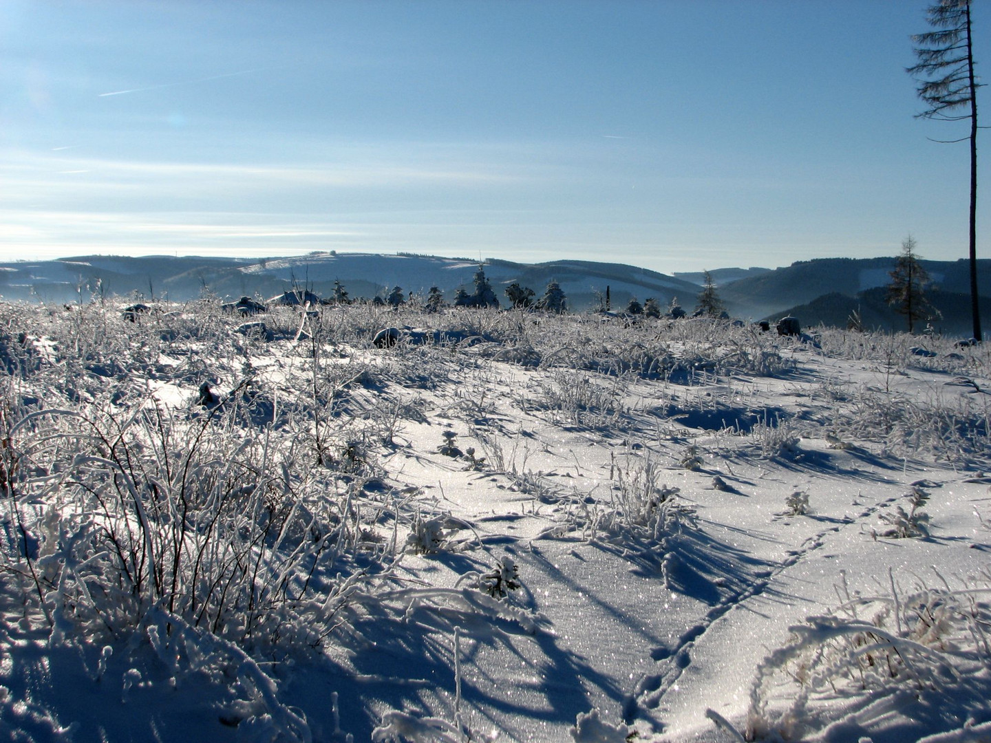 Spuren im Schnee