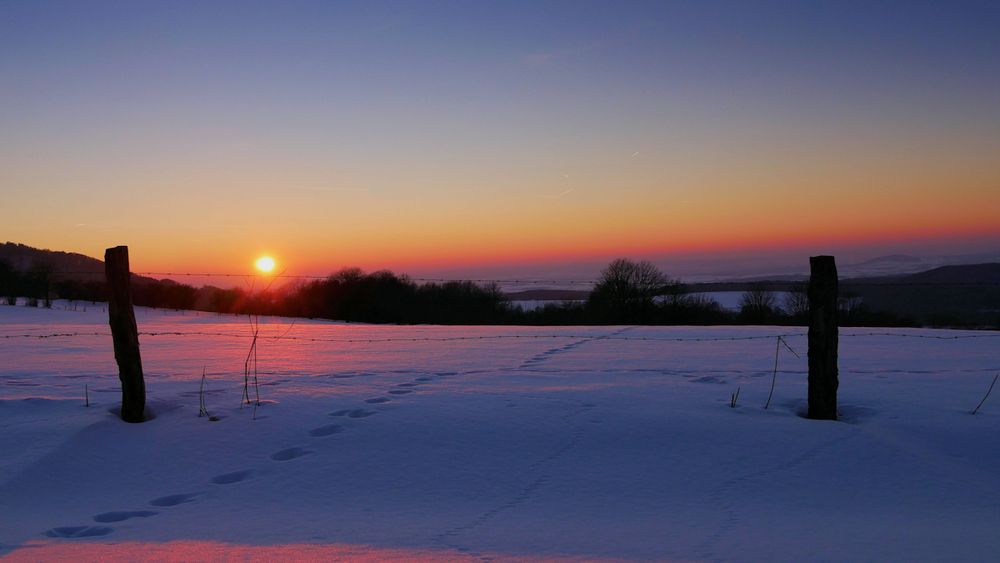 SPUREN  im Schnee...