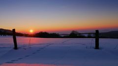 SPUREN  im Schnee...