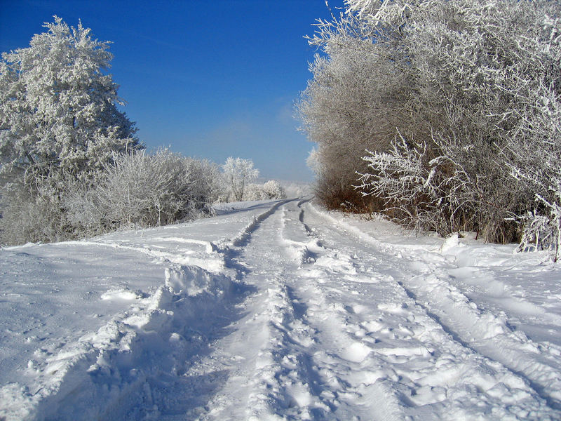 Spuren im Schnee...