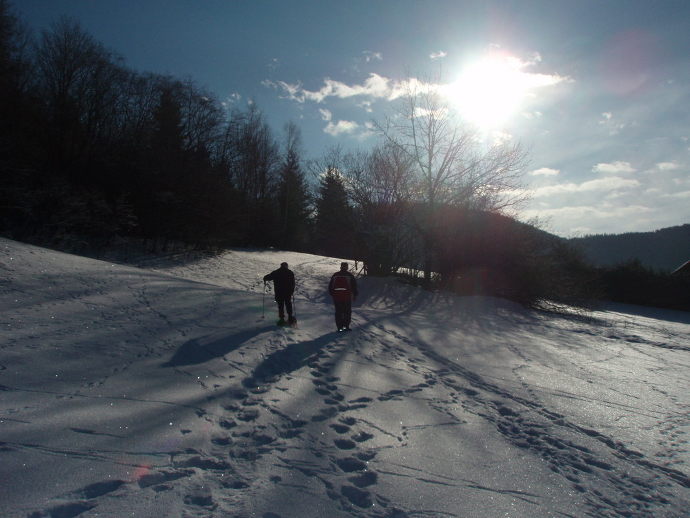 SPUREN IM SCHNEE