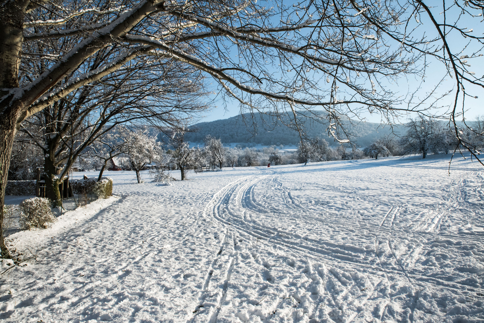 Spuren im Schnee