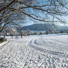 Spuren im Schnee