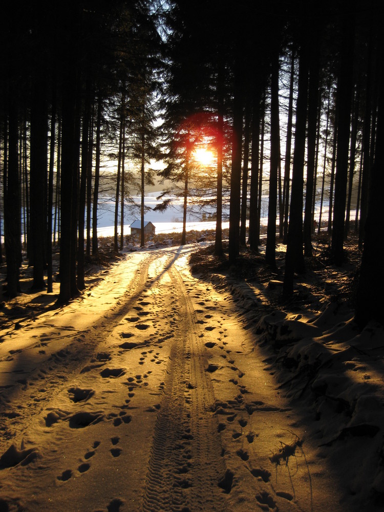 Spuren im Schnee