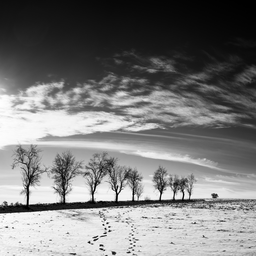 Spuren im Schnee