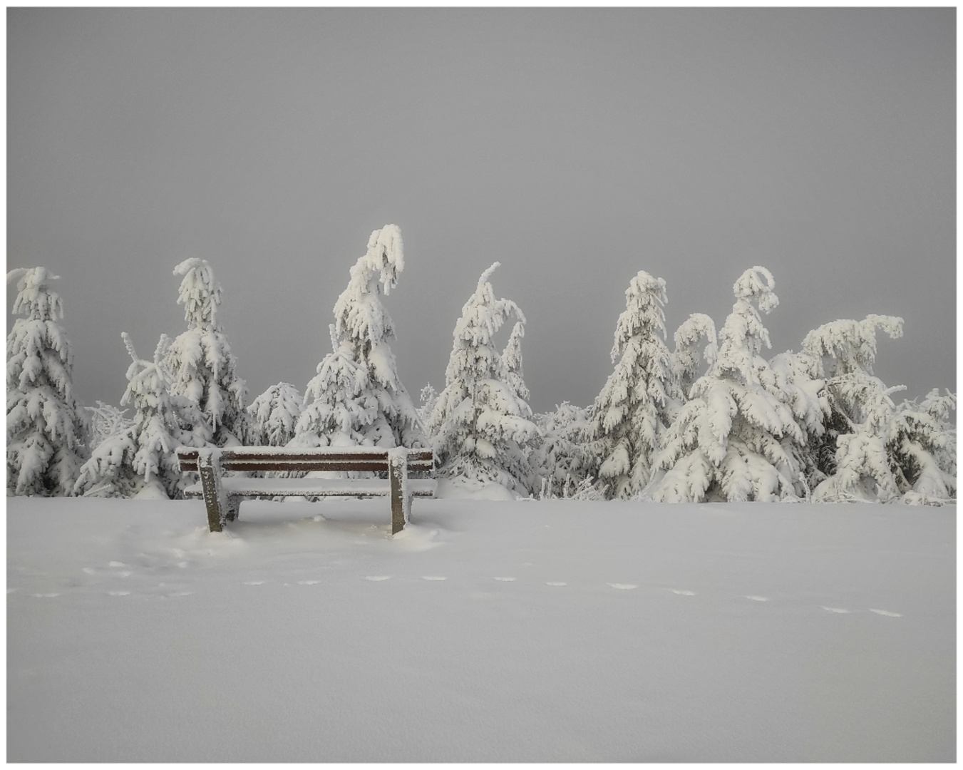 Spuren im Schnee 