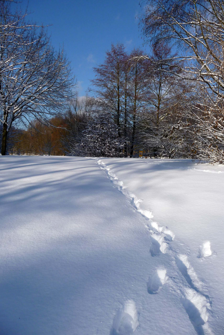 Spuren im Schnee