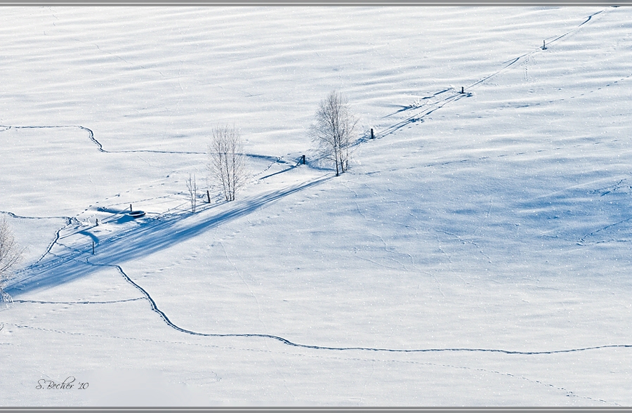 Spuren im Schnee