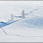 Spuren im Schnee