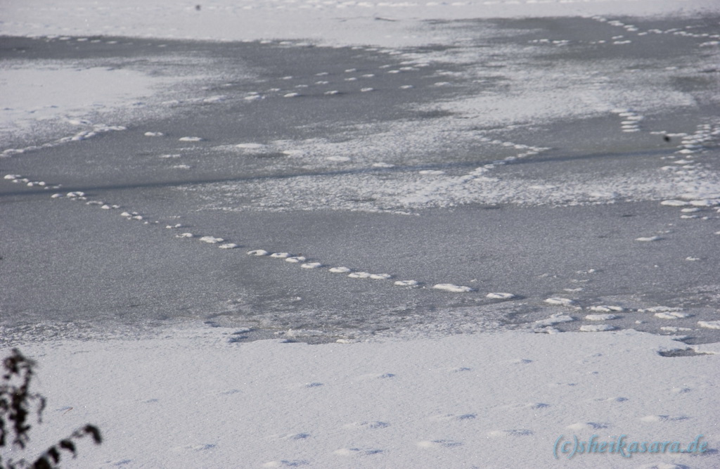 Spuren im Schnee