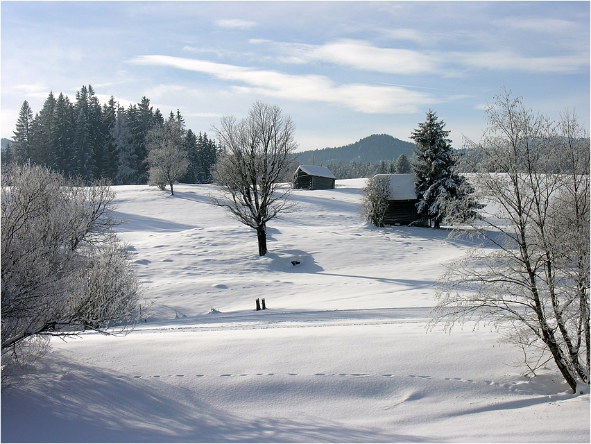 Spuren im Schnee