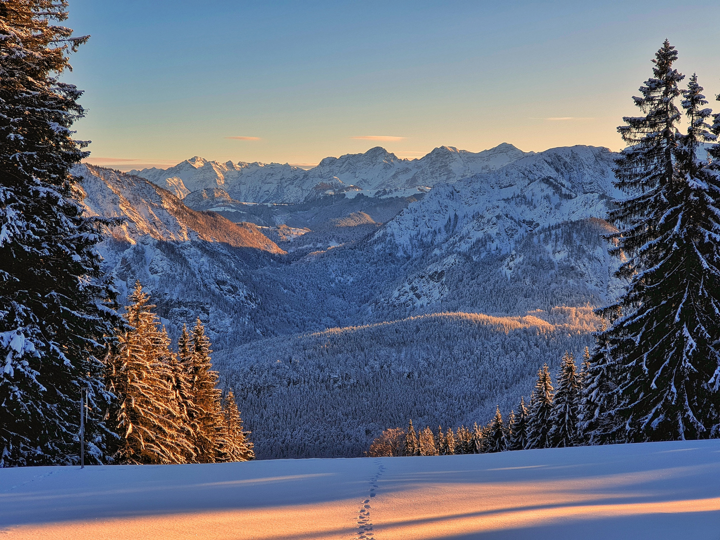 Spuren im Schnee 