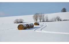 Spuren im Schnee