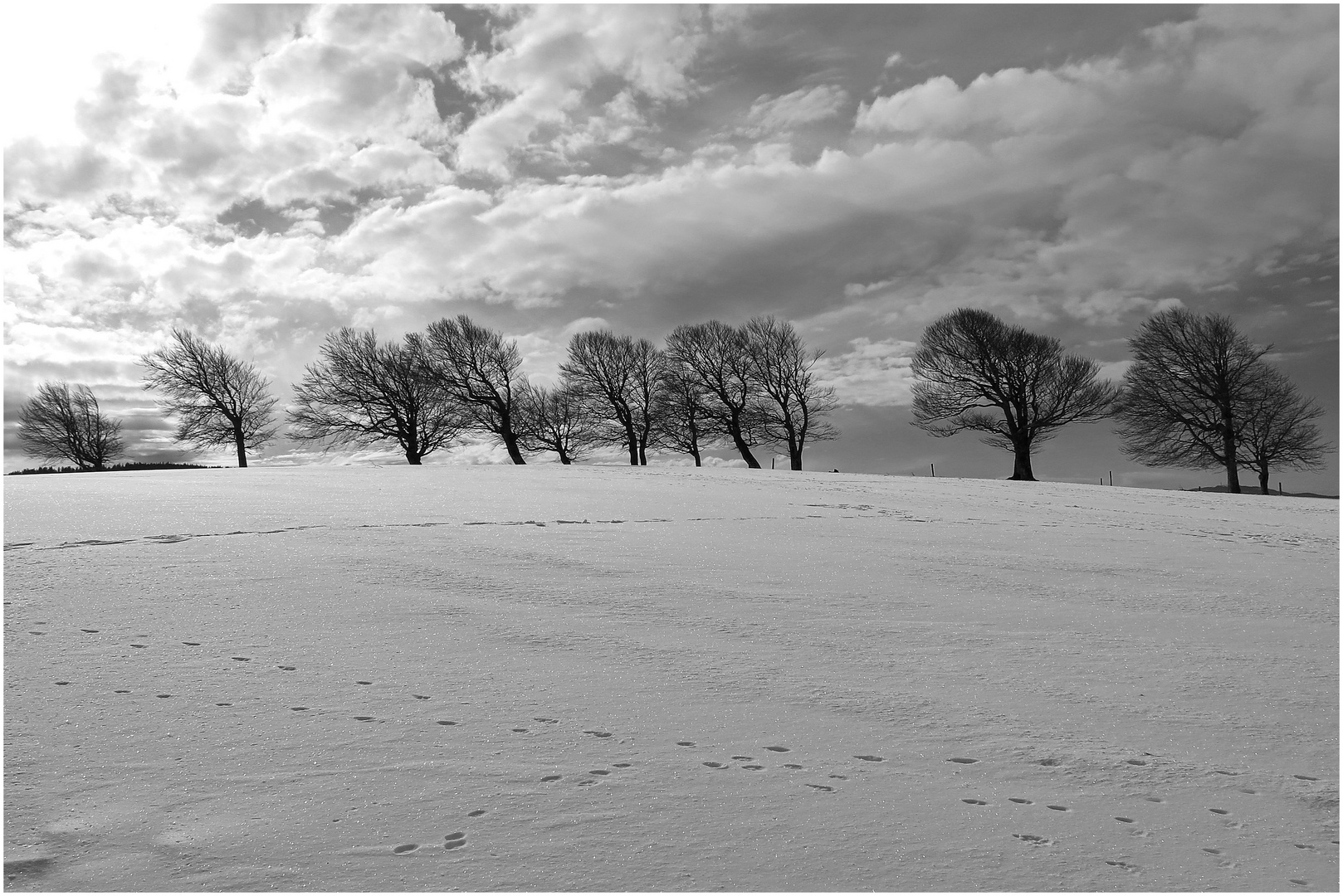 Spuren im Schnee