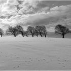 Spuren im Schnee