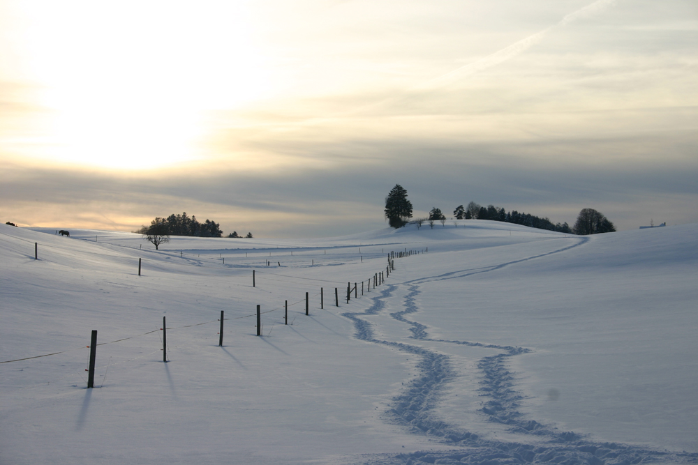 Spuren im Schnee