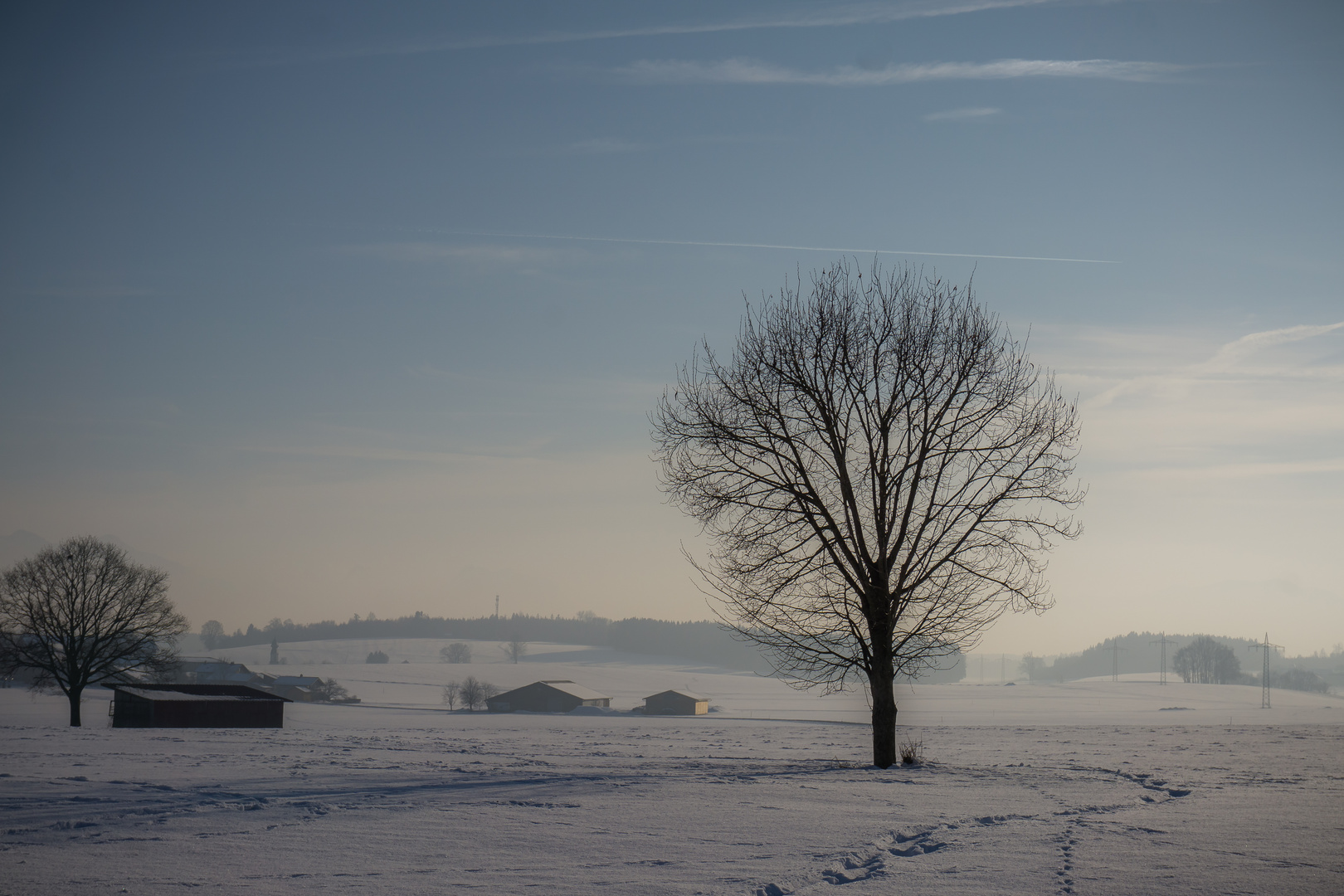 Spuren im Schnee