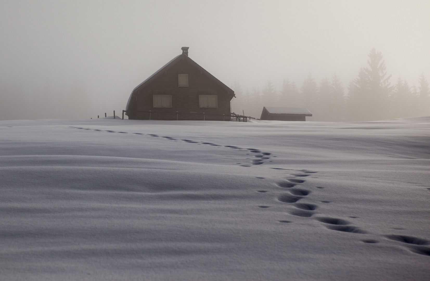 Spuren im Schnee