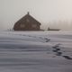 Spuren im Schnee