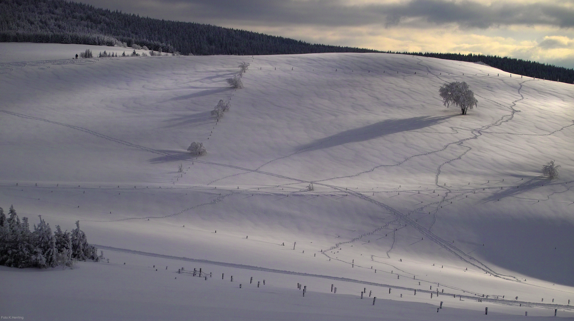 Spuren im Schnee