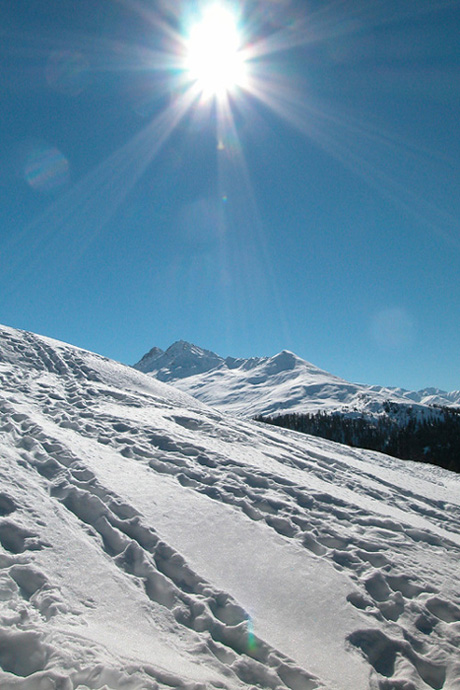 Spuren im Schnee