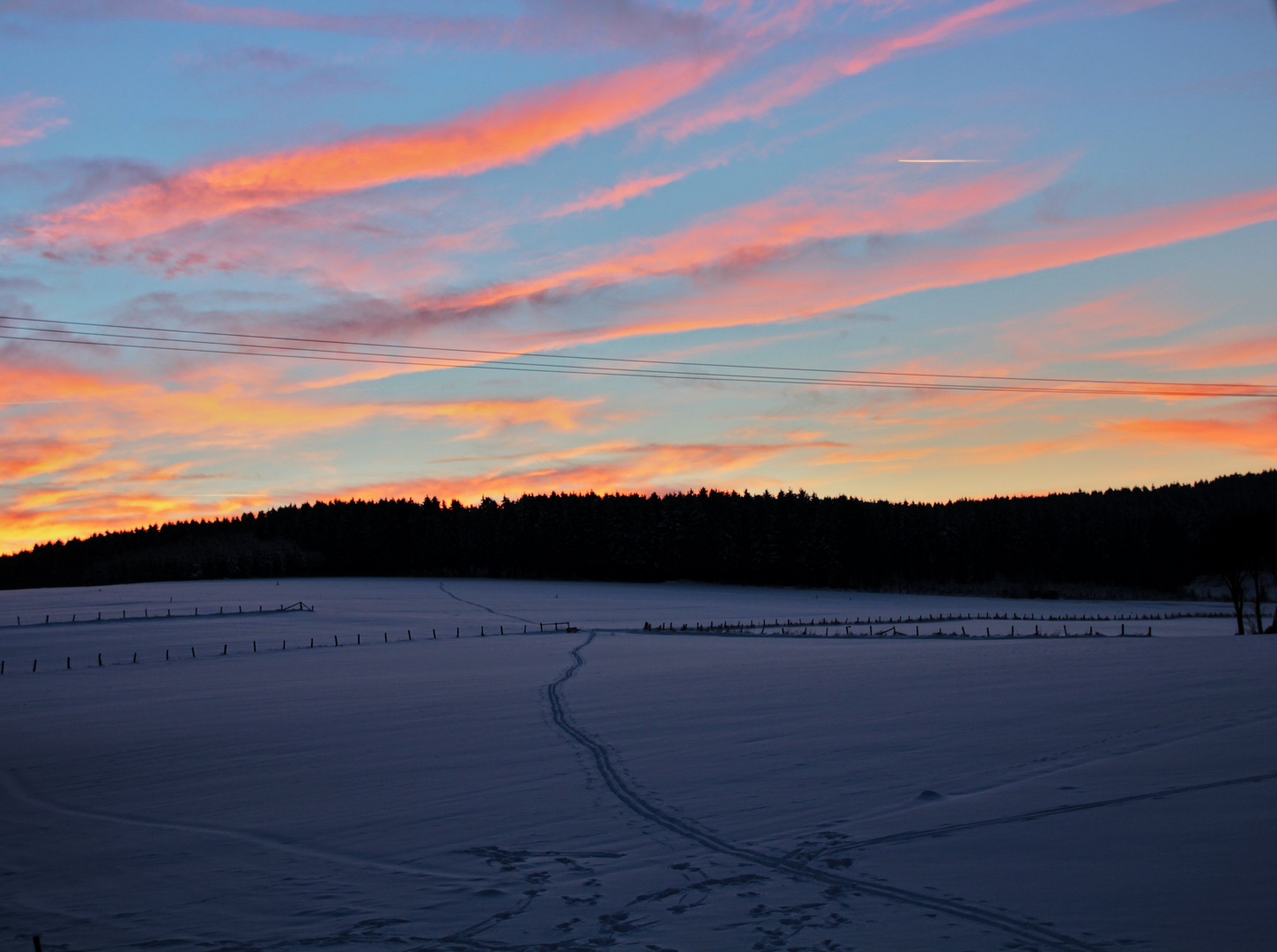 Spuren im Schnee ...