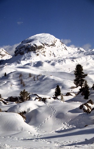 Spuren im Schnee - Alta Badia