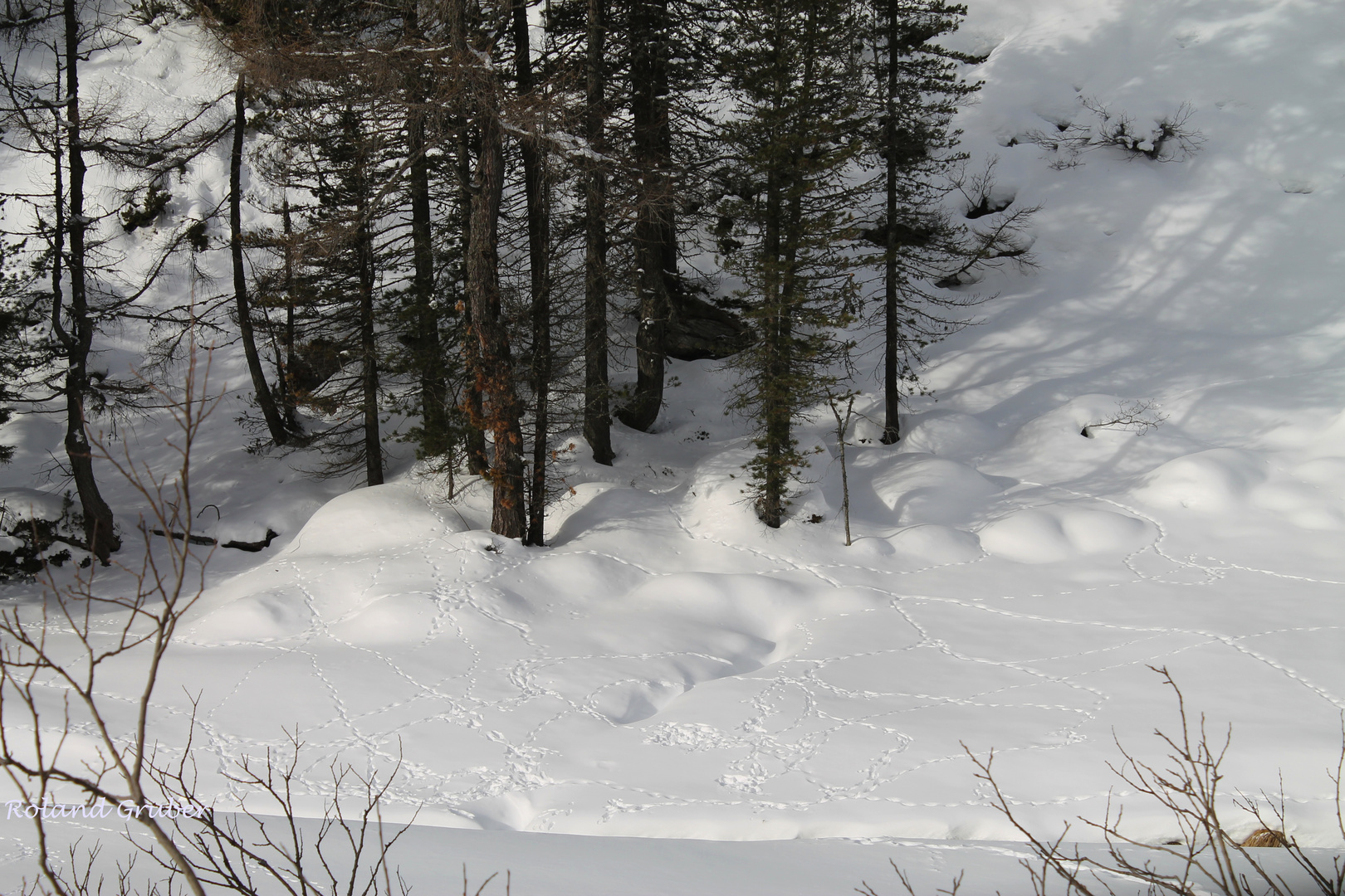 Spuren im Schnee am Tauern