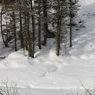 Spuren im Schnee am Tauern