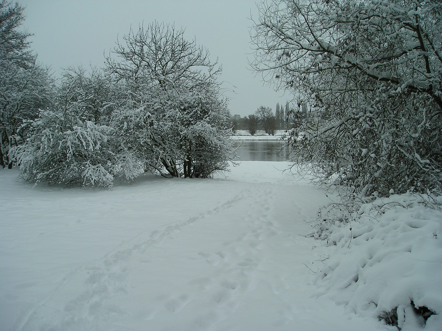 Spuren im Schnee