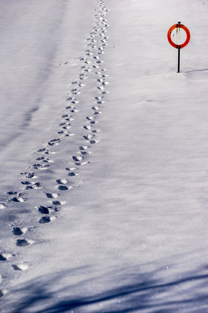 Spuren im Schnee