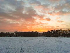 Spuren im Schnee