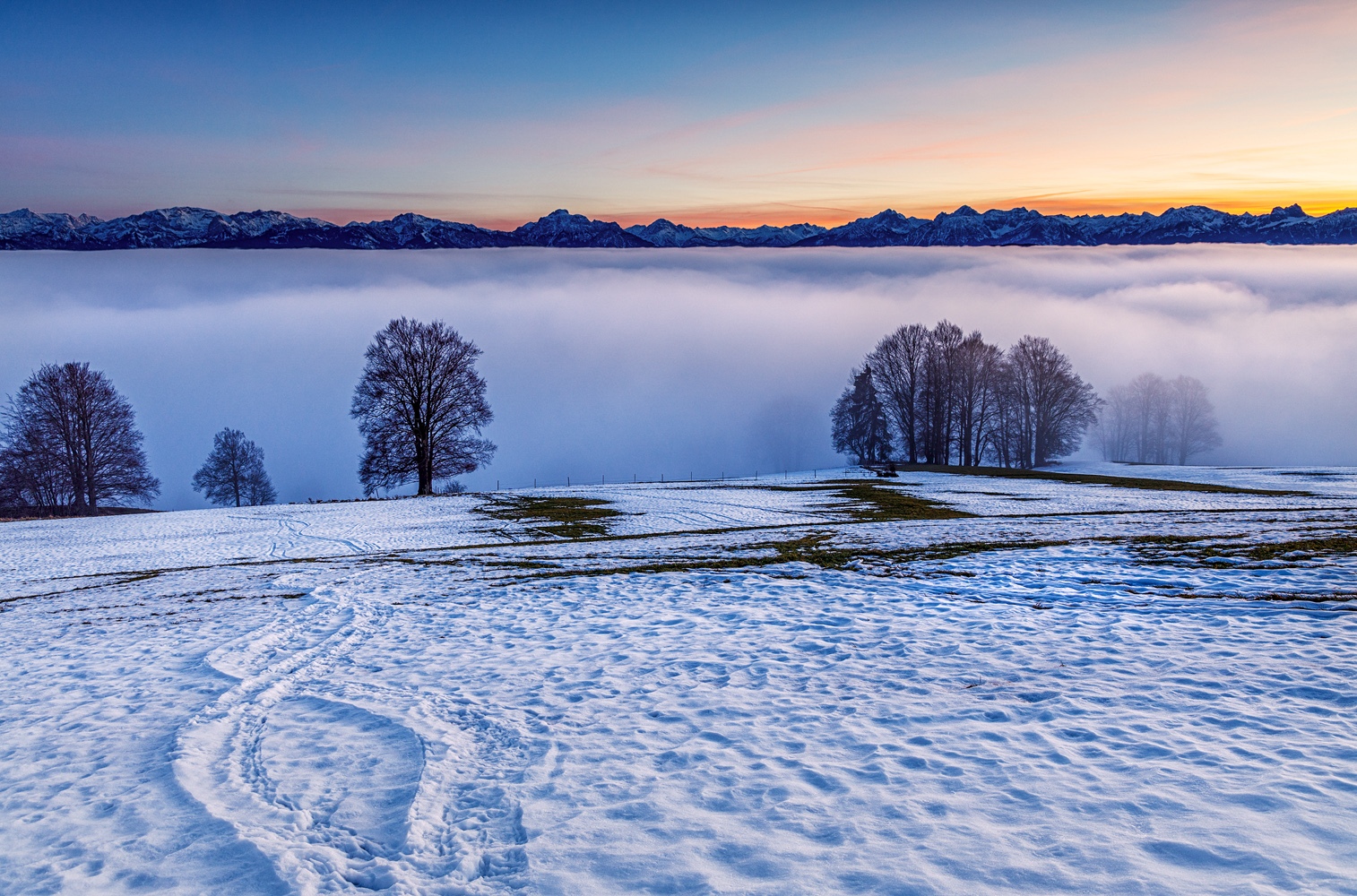 spuren im schnee