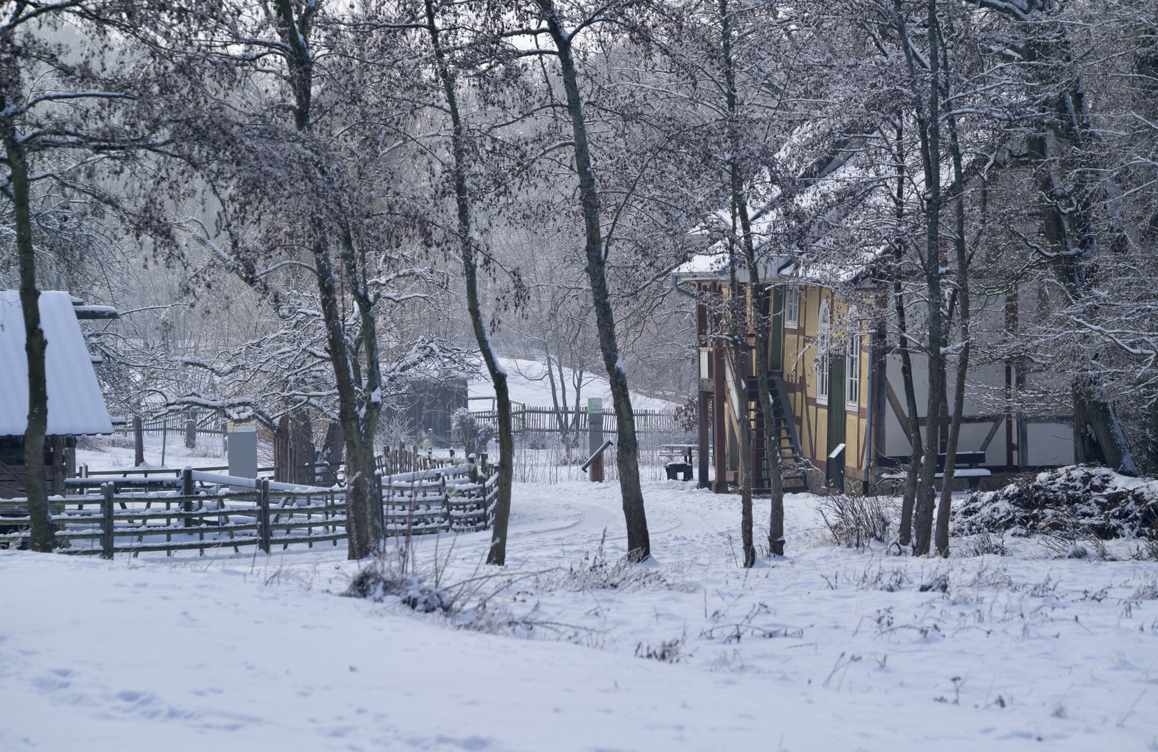 Spuren im Schnee ...