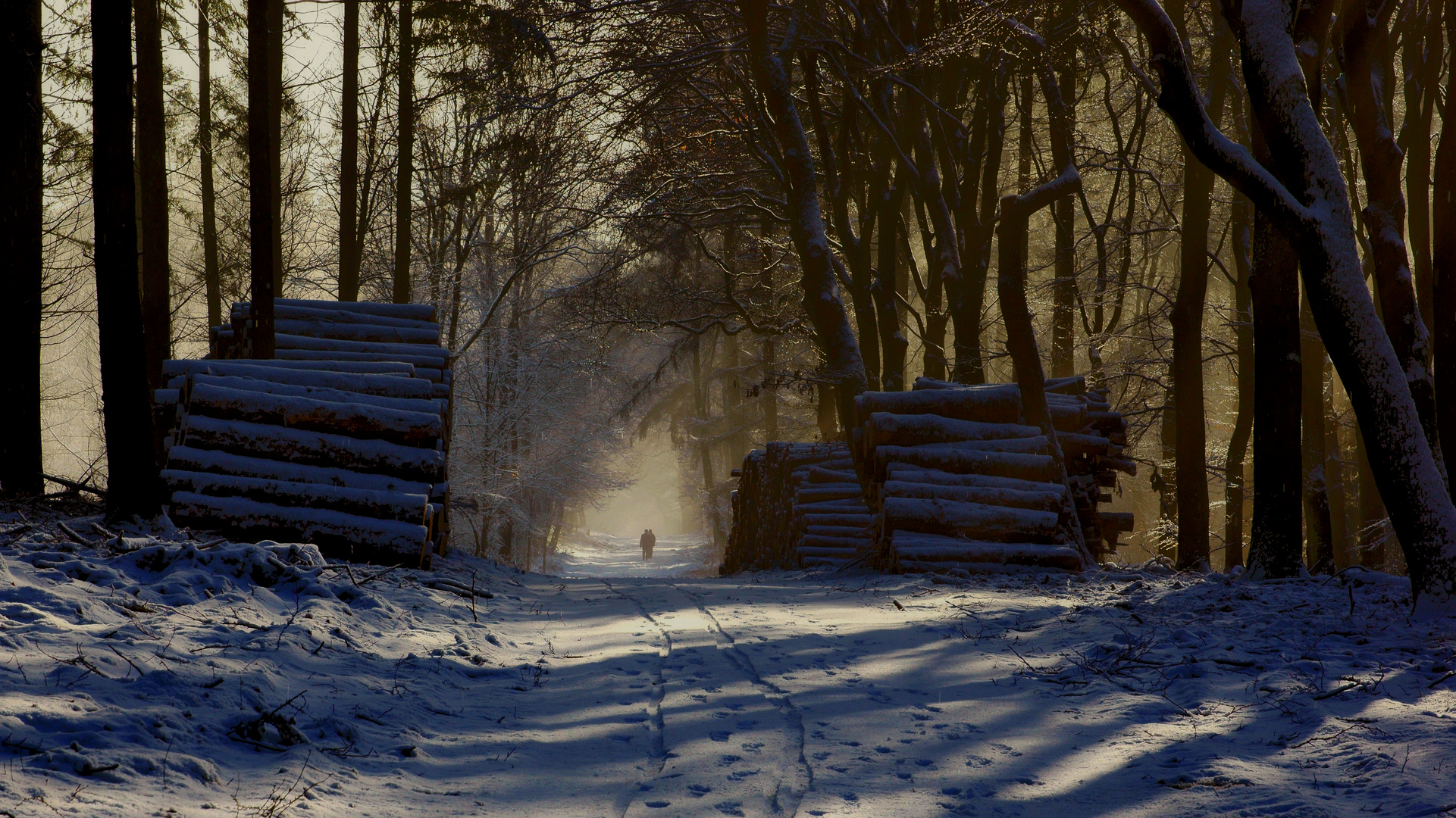 Spuren im Schnee