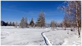 spuren im schnee by Joe Himmelrich 