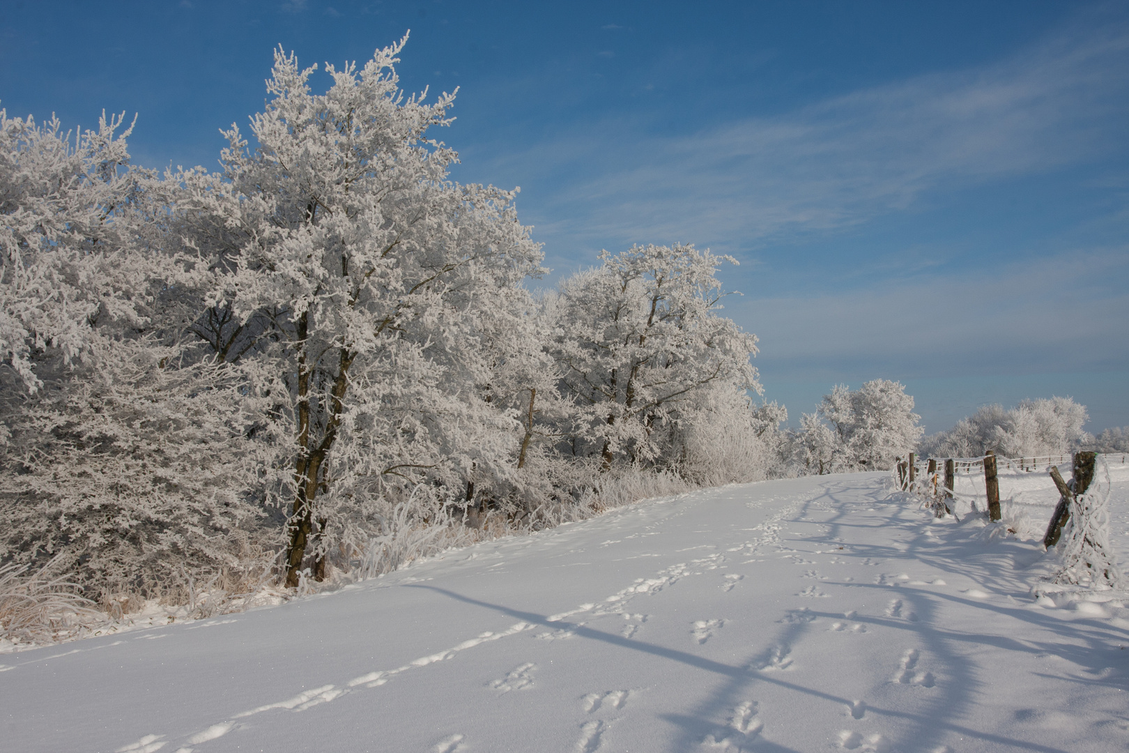 Spuren im Schnee