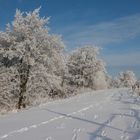 Spuren im Schnee