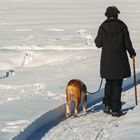 Spuren im Schnee