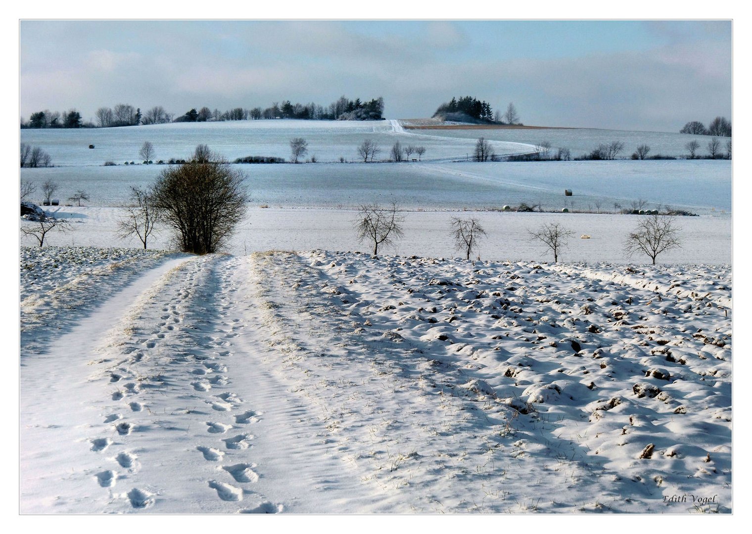 spuren im Schnee.....