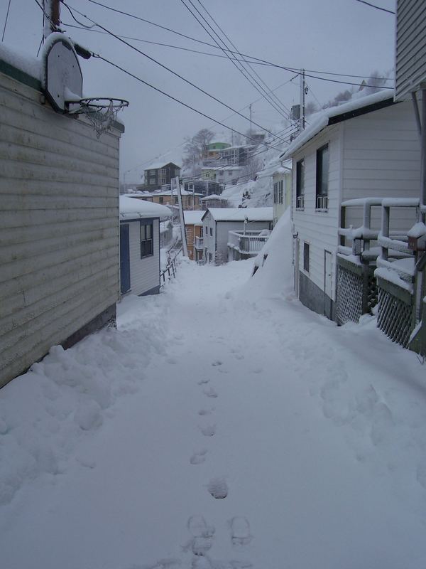 Spuren im Schnee